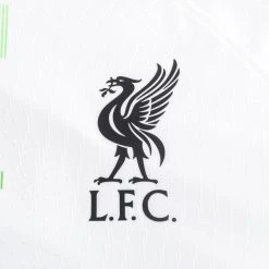 Nike Liverpool Away Shirt 2023/24 Vapor 17 Nike Liverpool Away Shirt 2023/24 Vapor -football 03fd747bdca0