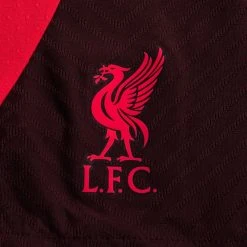 Nike Liverpool Training Shorts Dri-FIT ADV Strike - Burgundy/Siren Red -football 08ec785ad84c