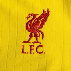 Nike Liverpool Third Shirt 2021/22 Woman -football 0f2b81f580ab