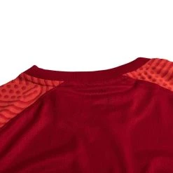 Nike Playershirt DF Strike II - University Red/Bright Crimson/White Kids -football 193a7f2c600d