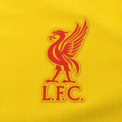 Nike Liverpool Third Shirt 2021/22 Vapor 11 Nike Liverpool Third Shirt 2021/22 Vapor -football 21e174950990