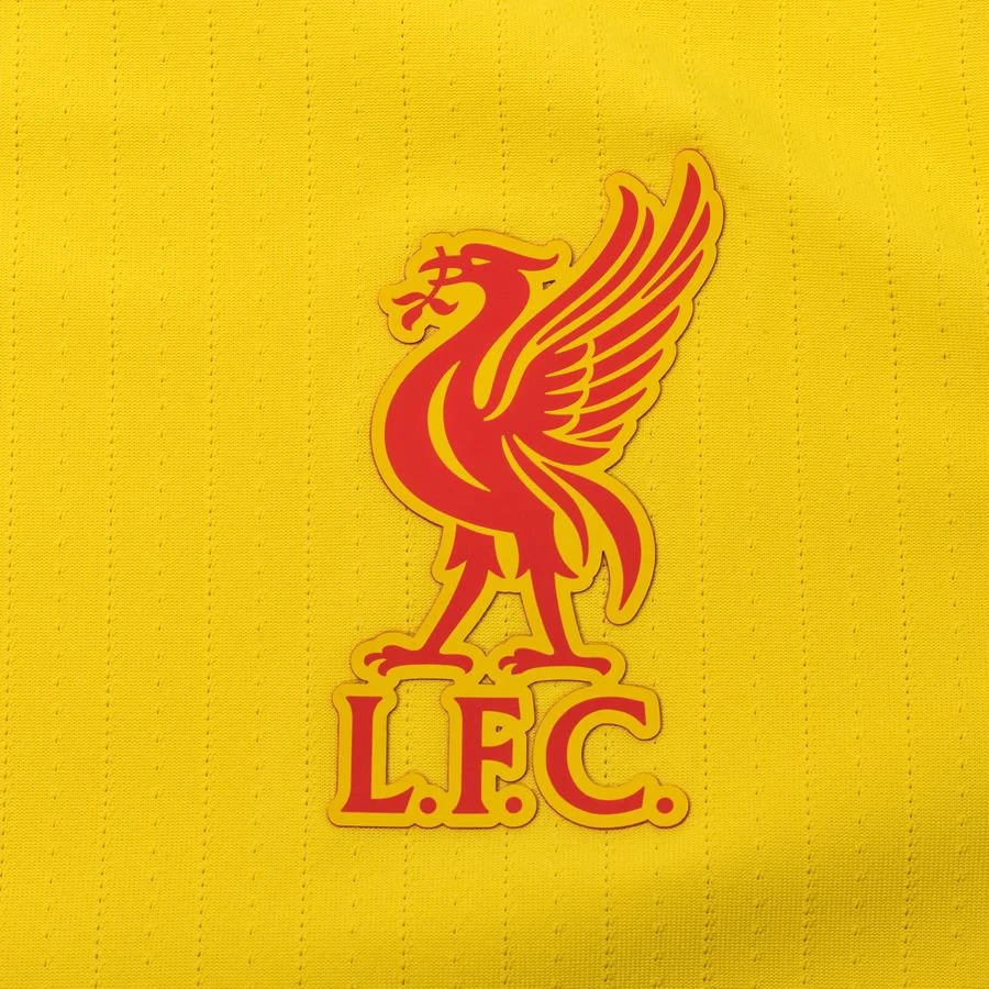 Nike Liverpool Third Shirt 2021/22 Vapor 4 Nike Liverpool Third Shirt 2021/22 Vapor - Image 4