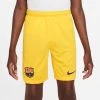 Nike Barcelona Fourth Shorts Senyera 2023/24 Kids