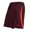 Nike Liverpool Training Shorts Dri-FIT ADV Strike - Burgundy/Siren Red