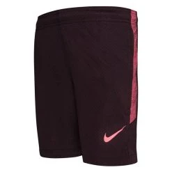 Nike Training Shorts Dry Strike - Burgundy/Racer Pink Kids
