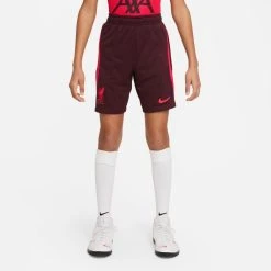 Nike Liverpool Training Shorts Dri-FIT Strike - Burgundy/Siren Red Kids