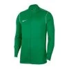 Nike Track Jacket Dri-FIT Park 20 - Pine Green/White Kids