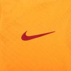 Nike Galatasaray Home Shirt 2023/24 Vapor -football 349877e81a32