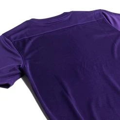 Nike Playershirt Dry Park VII - Court Purple/White -football 39b959e19e75