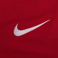 Nike Playershirt DF Strike II - University Red/Bright Crimson/White Kids -football 5a9abeb7ffb9