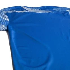 Nike Goalkeeper Shirt Park IV Dry - Royal Blue/White -football 63baa5474b2d