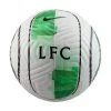 Nike Liverpool Football Academy - White/Green/Black