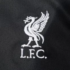 Nike Liverpool Goalkeeper Shirt Away 2022/23 Baby-Kit Kids 14 Nike Liverpool Goalkeeper Shirt Away 2022/23 Baby-Kit Kids -football 827f2108fbcf