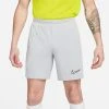 Nike Training Shorts Dri-FIT Academy 23 - Silver/Volt/Black