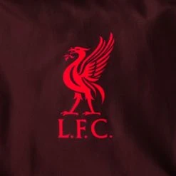 Nike Liverpool Jacket Repel Academy AWF - Burgundy/Tough Red/Siren Red -football 8513f3ae532d