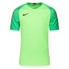Nike Goalkeeper Shirt Gardien II - Green Strike/Green Spark/Black