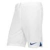 Nike Paris Saint Germain 3rd Shorts 2022/23 Kids