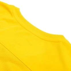 Nike Playershirt Dry Park VII - Tour Yellow/Black Woman -football a557c51c49d3
