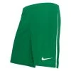 Nike Shorts Dri-FIT League III - Pine Green/White