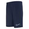 Nike Training Shorts Dri-FIT Academy 23 - Obsidian/White Kids