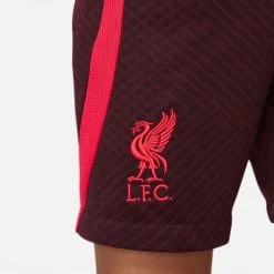 Nike Liverpool Training Shorts Dri-FIT Strike - Burgundy/Siren Red Kids -football e88da9c003e2