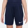 Nike Training Shorts Dri-FIT Academy Pro - Obsidian/Royal Blue/White Kids