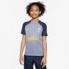 Nike Tottenham Training T-Shirt Dri-FIT Strike - Iron Purple/Pure Violet Kids