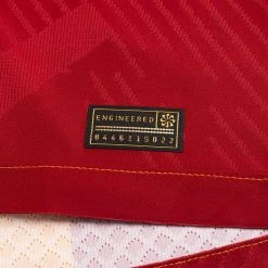 Nike Galatasaray Home Shirt 2023/24 Vapor -football fbdb384bde16